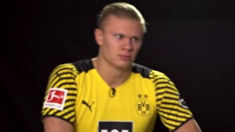 对手态势 对手态势